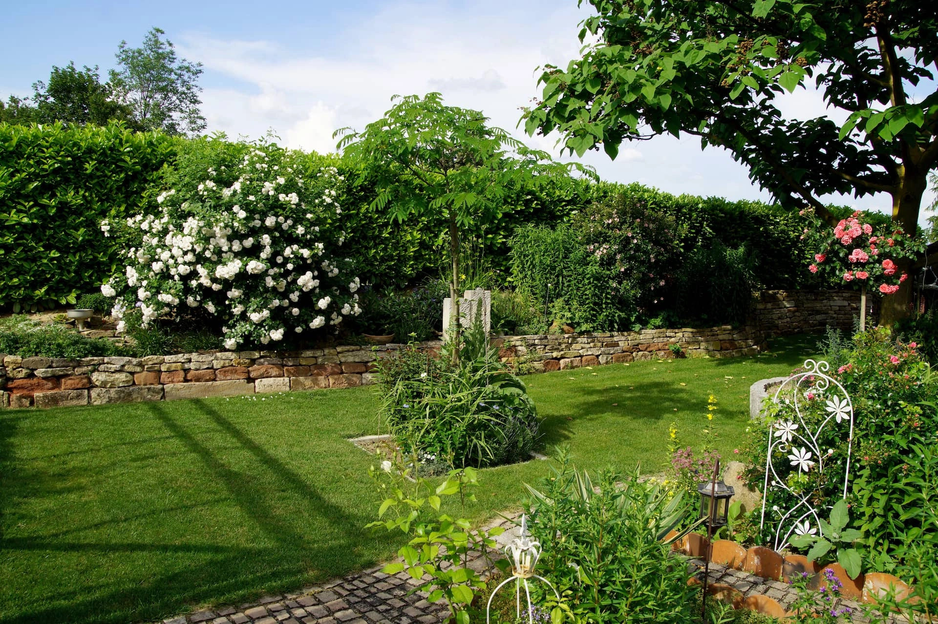 gartenbau-rosenbuesche-hecken